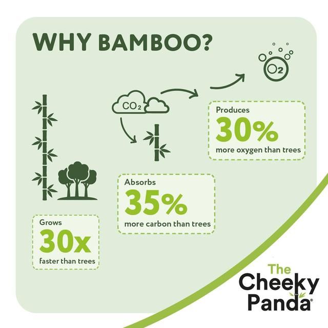 Cheeky Panda Natural Bamboo Toilet Tissue 24 per pack