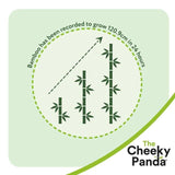 Cheeky Panda Natural Bamboo Toilet Tissue 4 per pack