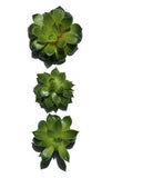 ClarinsMen Super Moisture Gel 50ml