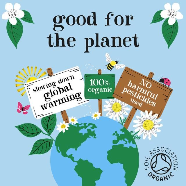 Clipper After Dinner Mints Organic Double Mint & Fennel Infusion Tea Bags 20 per pack