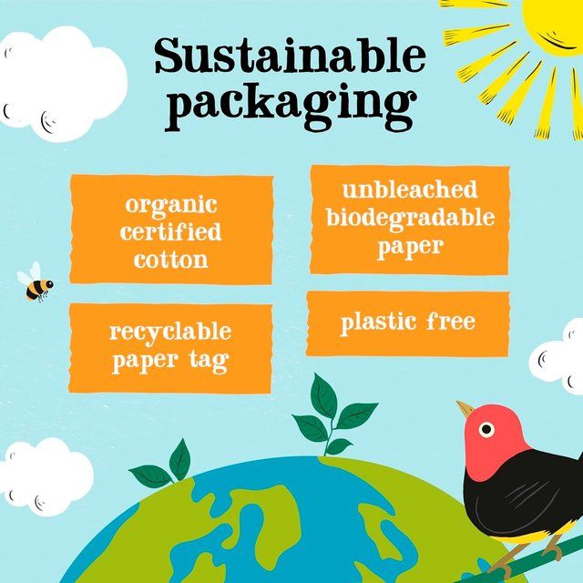 Clipper Organic Fairtrade Restoring Roots Ginger & Turmeric 20 Tea Bags 20 per pack