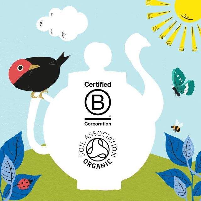 Clipper Organic Naturally Decaffeinated Tea Bags 80 per pack