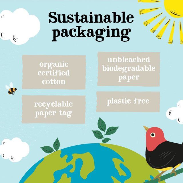 Clipper Organic Nettle Teabags 20 per pack