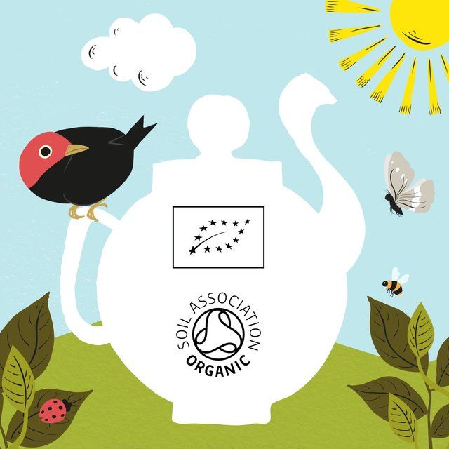 Clipper Organic Nettle Teabags 20 per pack