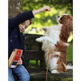 Clydach Farm Grain Free Salmon Dog Treats 100g