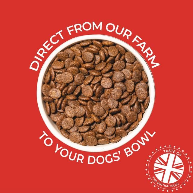 Clydach Farm Grain Free Salmon for Dogs 12kg