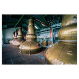 Clynelish 14 Year Old Single Malt Scotch Whisky 70cl