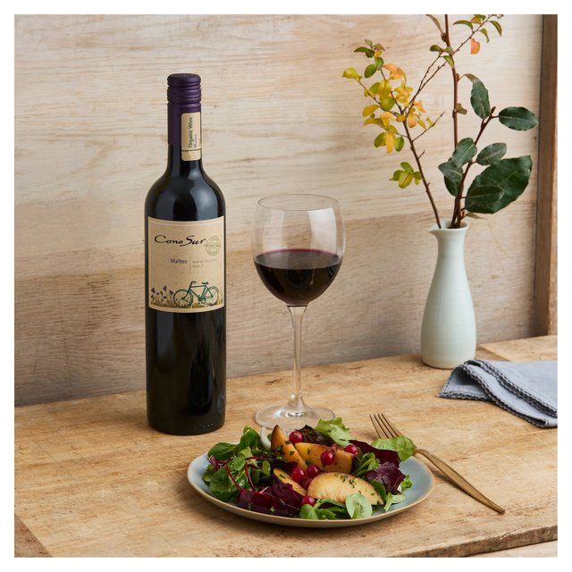 Cono Sur Organic Malbec 75cl