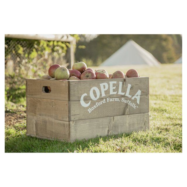Copella Apple & Elderflower Fruit Juice 900ml