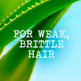 Maui Moisture Thicken & Restore+ Bamboo Fiber Conditioner