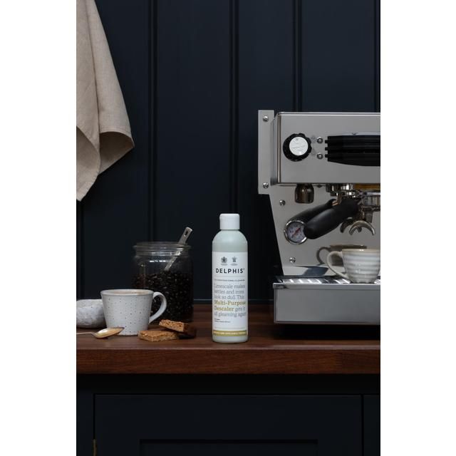 Delphis Eco Multi-Purpose Descaler 350ml