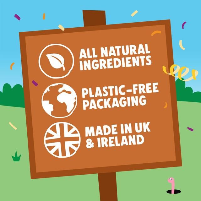 Denzel's Birthday Gift Box of Dog Treats 110g