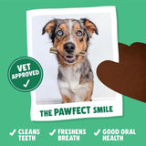 Denzel's Daily Dentals Medium Dog Peanut Butter Peppermint & Parsley 28 x 30g