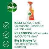Dettol Antibacterial Hob Kitchen Cleaner Spray 750ml