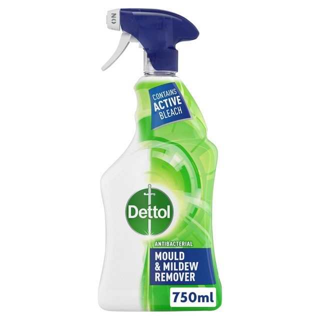 Dettol Antibacterial Mould & Mildew Remover Spray   750ml
