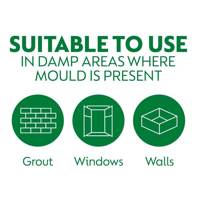 Dettol Antibacterial Mould & Mildew Remover Spray   750ml