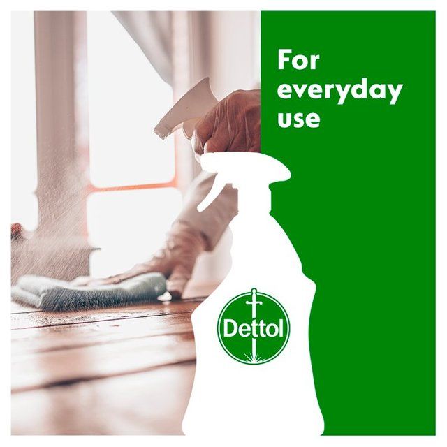 Dettol Antibacterial Multi Surface Cleaning Spray Lime & Mint 750ml
