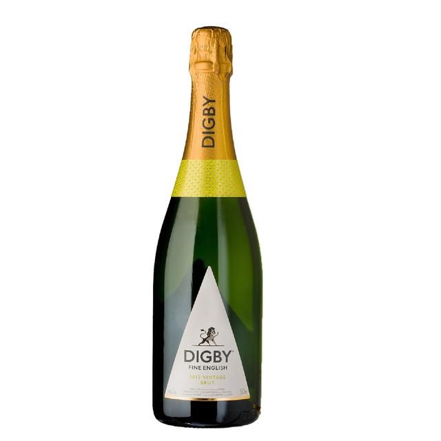 Digby Fine English 2013 Vintage Brut 75cl