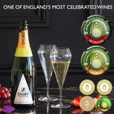 Digby Fine English 2013 Vintage Brut 75cl