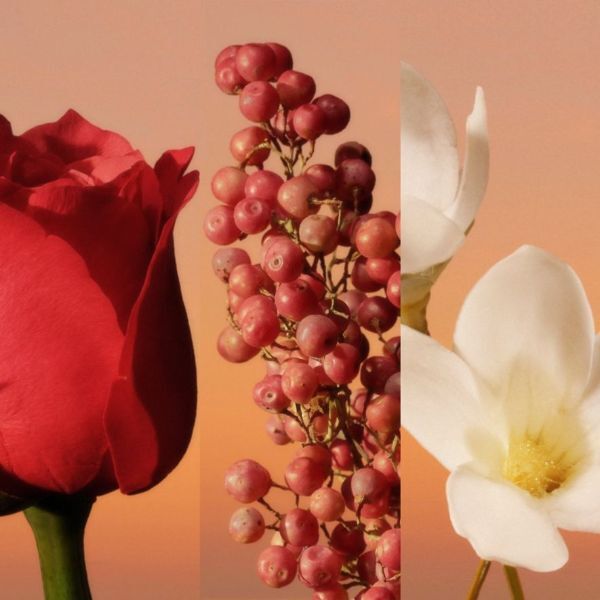 DNR Calvin Klein Eternity Eau de Parfum Intense for Her 100ml