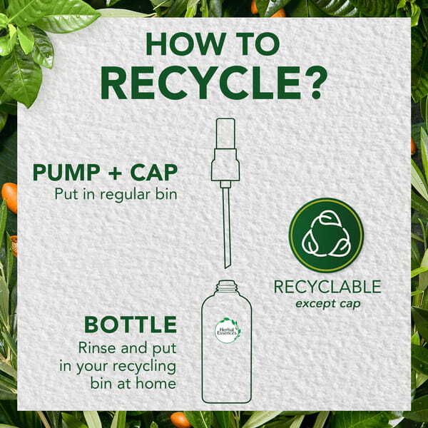 DNR Herbal Essences Hair Oil Blend Argan & Aloe 100ml