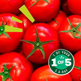 Dolmio Lasagne Original Red Tomato Sauce 675g