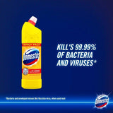 Domestos Bleach Citrus 1.25L