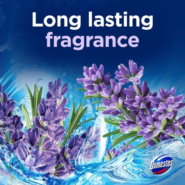 Domestos Power 5 Toilet Rim Block Lavender 2 per pack