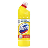 Domestos Thick Bleach Citrus Fresh 750ml