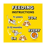 Dreamies Variety Snack Box Cat Treats with Chicken Cheese & Salmon 12 x 60g