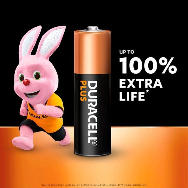 Duracell Plus 100% AA Alkaline Batteries 4 per pack