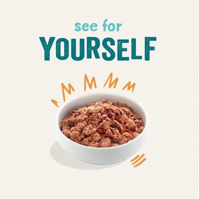 Edgard & Cooper Adult Grain Free Wet Dog Food with Chicken & Turkey   400g