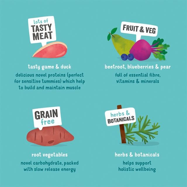 Edgard & Cooper Adult Grain Free Wet Dog Food with Game & Duck   400g