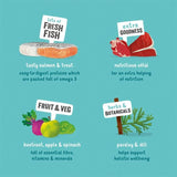 Edgard & Cooper Adult Grain Free Wet Dog Food with Salmon & Turkey 150g