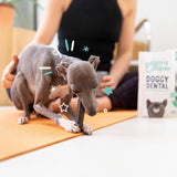 Edgard & Cooper Apple & Eucalyptus Small Dog Dental Sticks 7 per pack