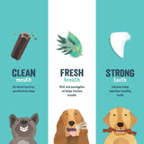 Edgard & Cooper Apple & Eucalyptus Small Dog Dental Sticks 7 per pack