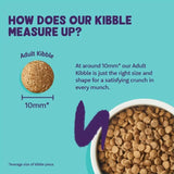 Edgard & Cooper Cat Dry Food Adult Salmon 4kg