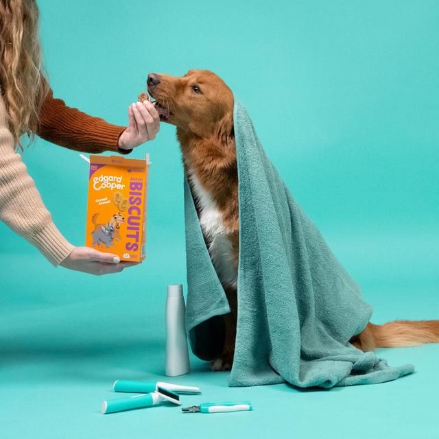 Edgard & Cooper Fresh Dog Treats Biscuits Turkey & Chicken 400g