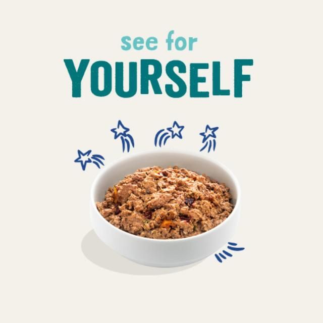 Edgard & Cooper Fresh Dog Wet Food Adult Grain Free Tin Salmon & Turkey 400g