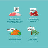 Edgard & Cooper Natural Adult Grain Free Wet Dog Food Multipack   6 x 100g