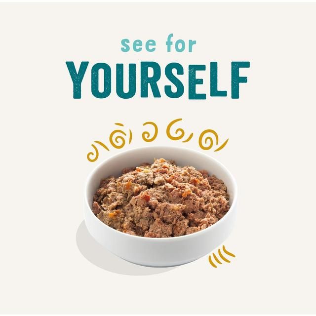 Edgard & Cooper Natural Adult Grain Free Wet Dog Food Multipack   6 x 100g