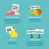 Edgard & Cooper Puppy Grain Free Wet Dog Food with Duck & Chicken   400g