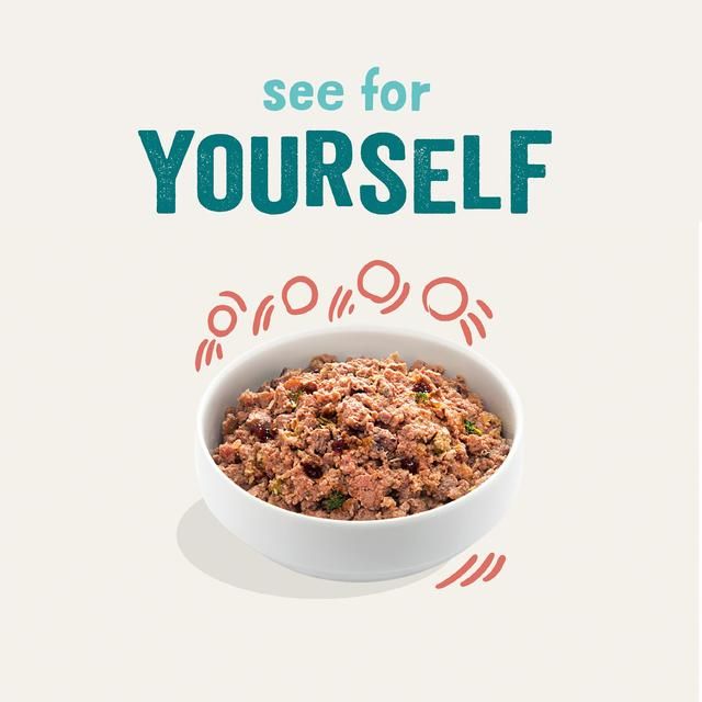 Edgard & Cooper Senior Grain Free Wet Dog Food with Chicken & Salmon   400g