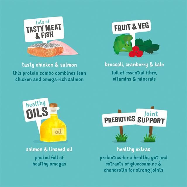 Edgard & Cooper Senior Grain Free Wet Dog Food with Chicken & Salmon   400g