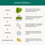 Together Health Omega 3 – Vegan Omega 3 – 30 Softgels GOODS Superdrug