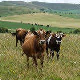 Ember Snacks Original Flavour Beef Biltong 25g