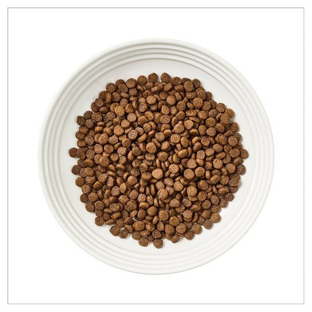 Encore Cat Chicken Dry Food 800g