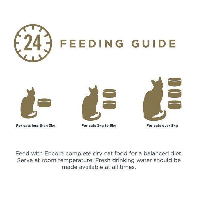 Encore Cat Fish Selection 12 x 70g