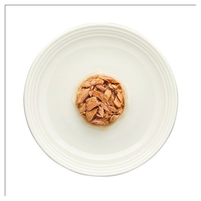 Encore Cat Pot Fish in Gravy 4 x 70g