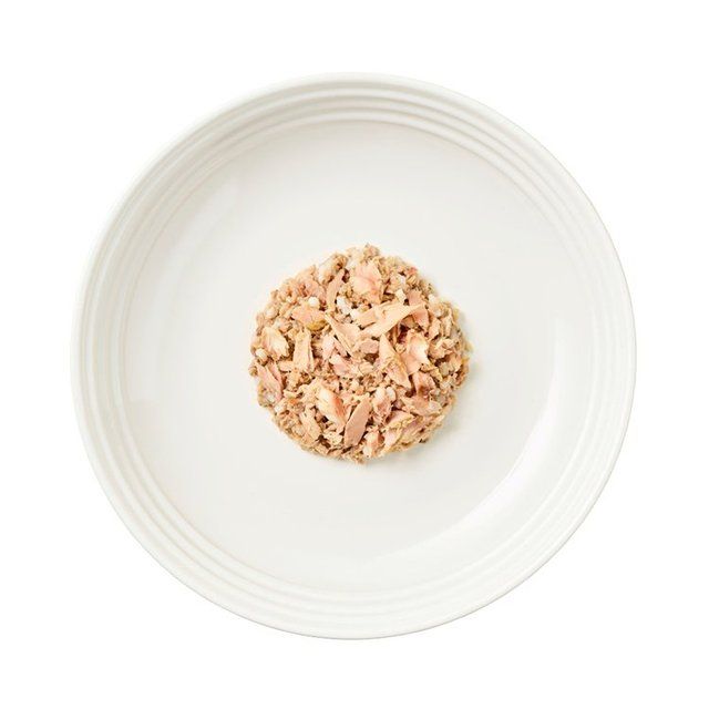 Encore Cat Tin Ocean Fish 70g